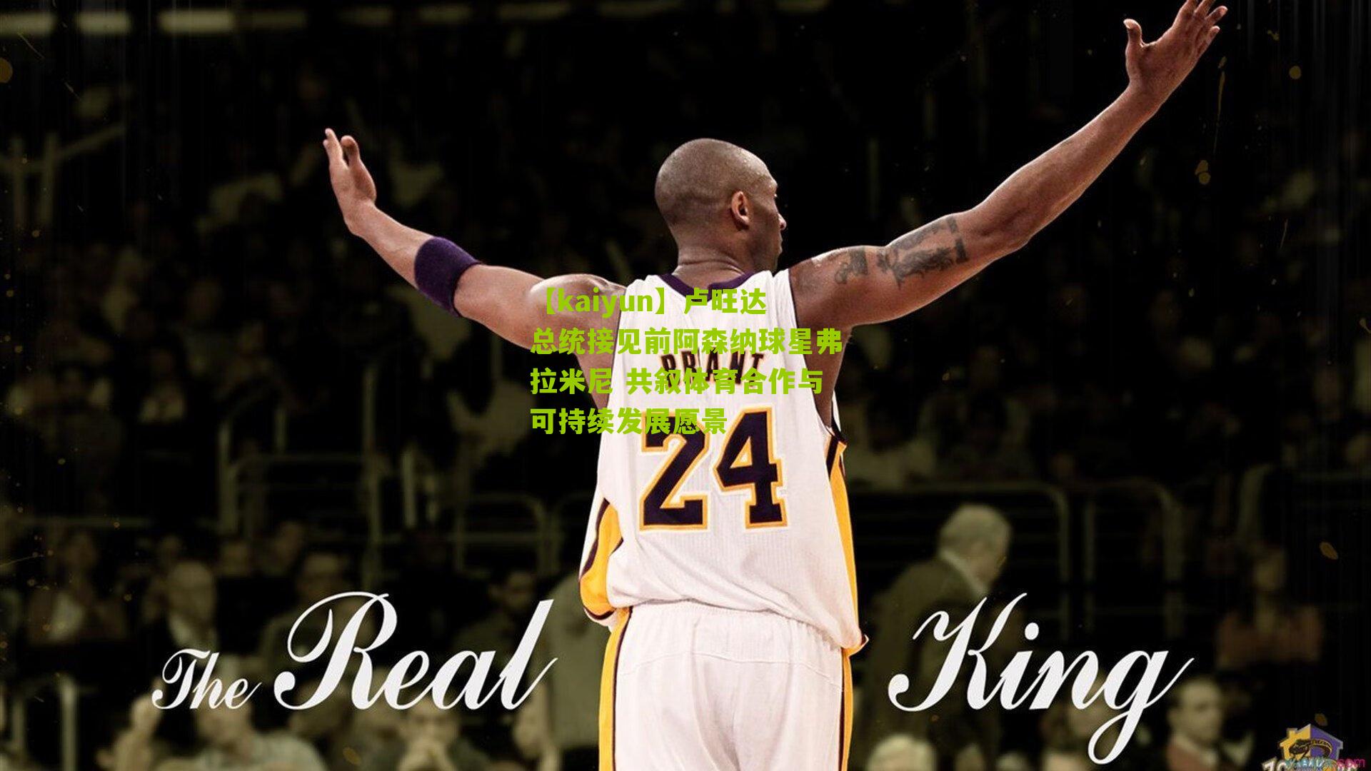 卢旺达总统接见前阿森纳球星弗拉米尼 共叙体育合作与可持续发展愿景